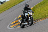 PJ-Motorsport-2019;anglesey-no-limits-trackday;anglesey-photographs;anglesey-trackday-photographs;enduro-digital-images;event-digital-images;eventdigitalimages;no-limits-trackdays;peter-wileman-photography;racing-digital-images;trac-mon;trackday-digital-images;trackday-photos;ty-croes